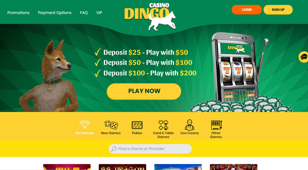 Dingo Online Casino review